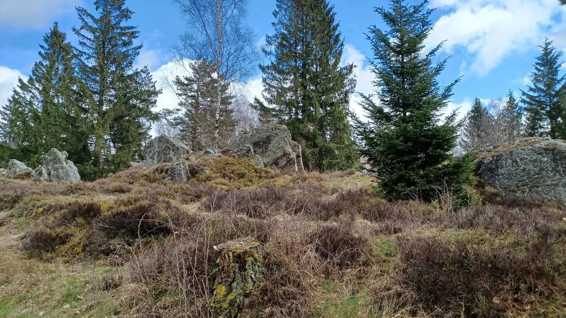 Cosy Holiday Home Palatinate Forest Stadlern