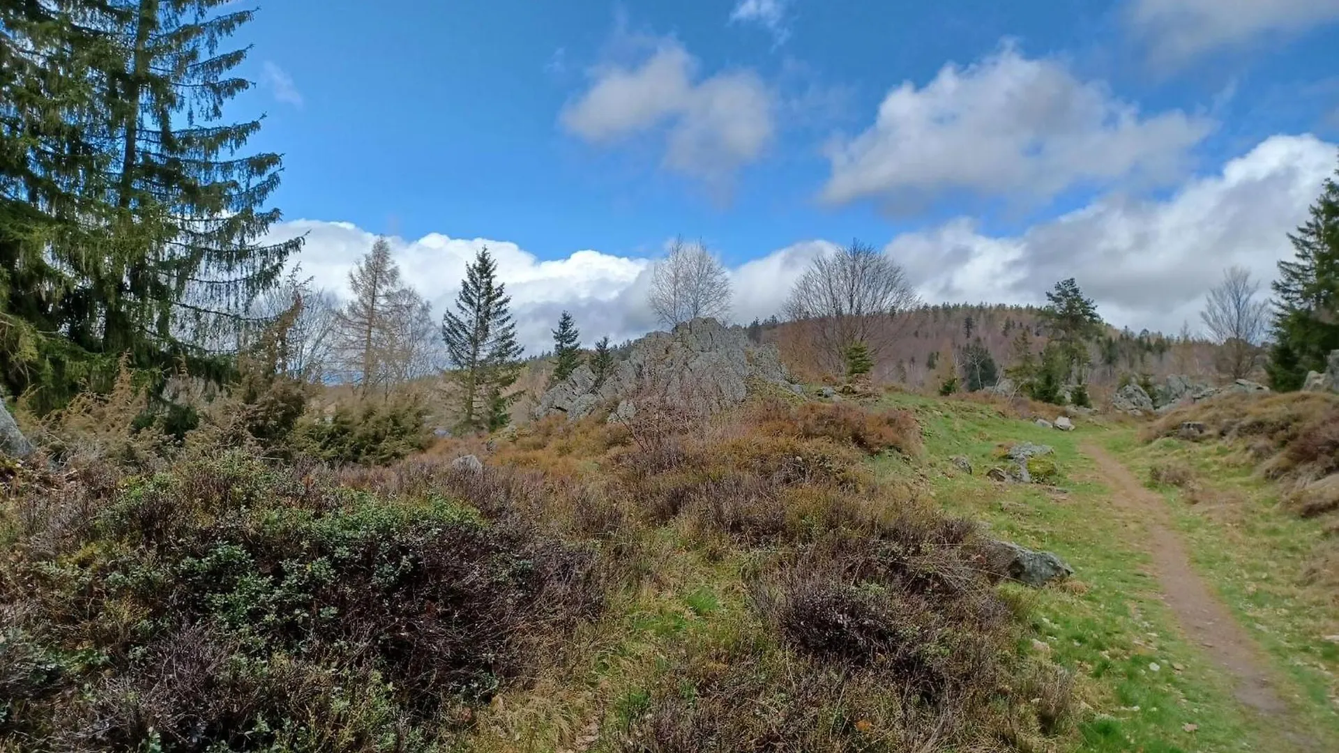 Cosy Holiday Home Palatinate Forest Stadlern